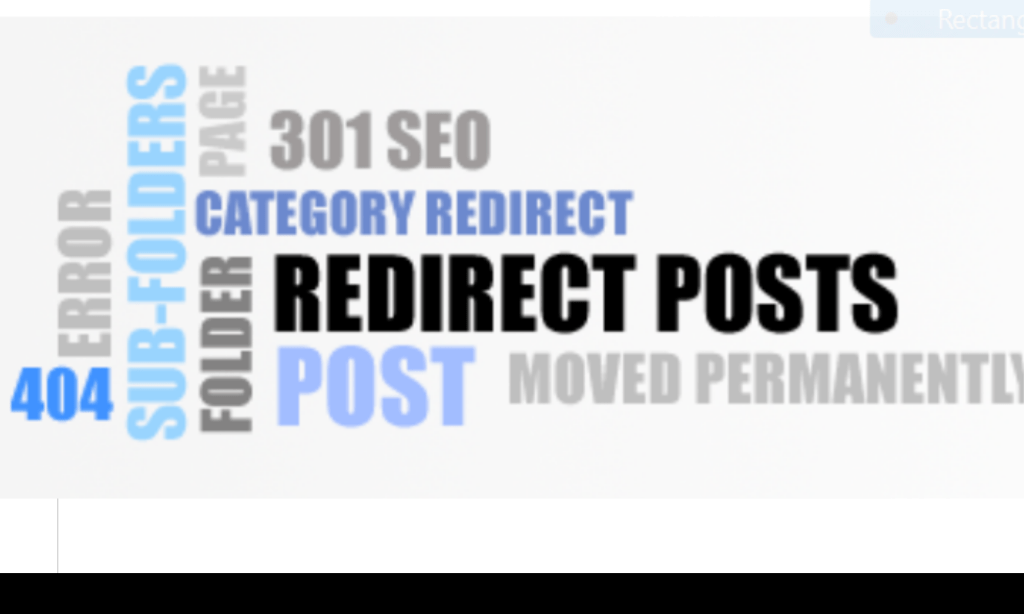301 redirect with WordPress